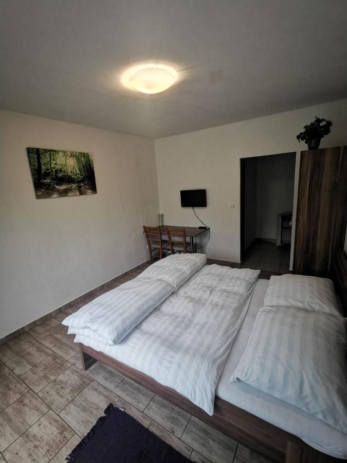 Apartmany Pod Landstejnem Stare Mesto  Экстерьер фото